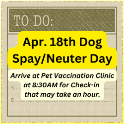 63fd1146c1d77_Dog-SpayNeuter-Day-2.png