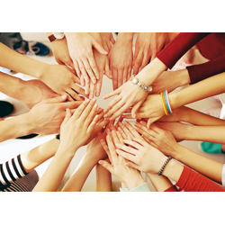 Volunteer Sign-Up