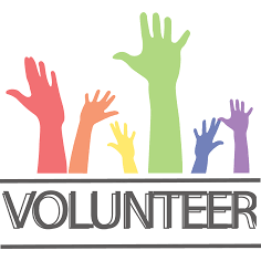 Volunteer