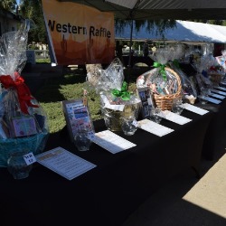 Western Raffle 2-5pm (adults only)