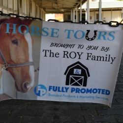 Horse Tour Line Monitors 2:30-7pm