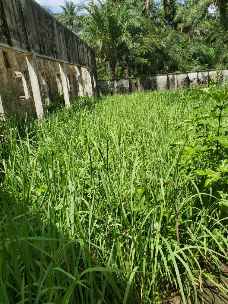 2022 Hope Rising Fundraiser Campaign Hope Rising Foundation